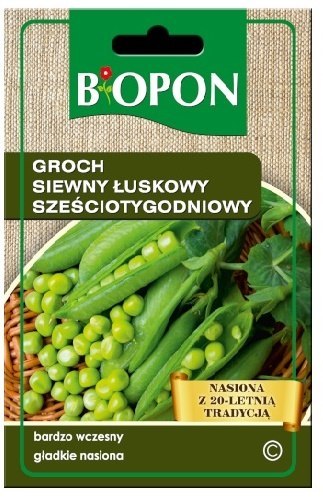 GROCH SIEWNY, ŁUSKOWY. SZEŚCIOTYGODNIOWY 40G