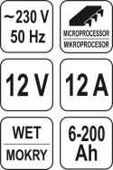 PROSTOWNIK ELEKTRONICZNY 12V 12A 6-200A