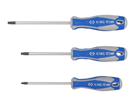 WKRĘTAK TORX Z OTWOREM T25 6.0*100