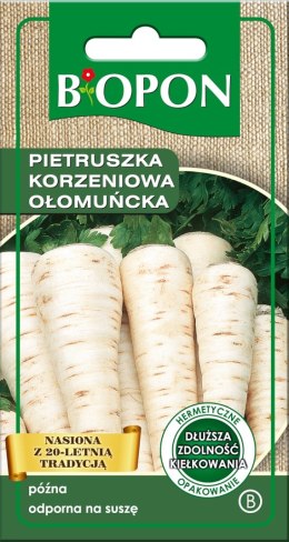 PIETRUSZKA KORZENIOWA OŁOMUŃCKA 3G