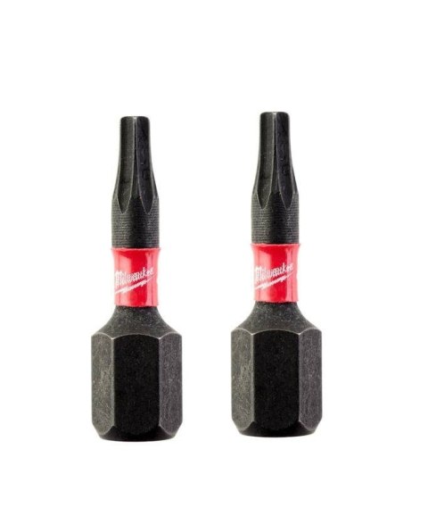 BIT, GROT, KOŃCÓWKA TORX TX10 25MM 2 SZT.